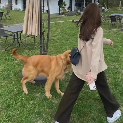 戏剧训练营